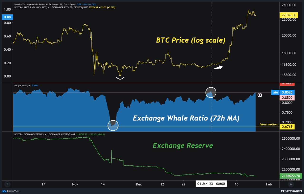 Relación de ballena de intercambio de Bitcoin