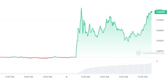Gráfico de precios de BORK memecoin en las últimas horas.  Fuente: CoinMarketCap