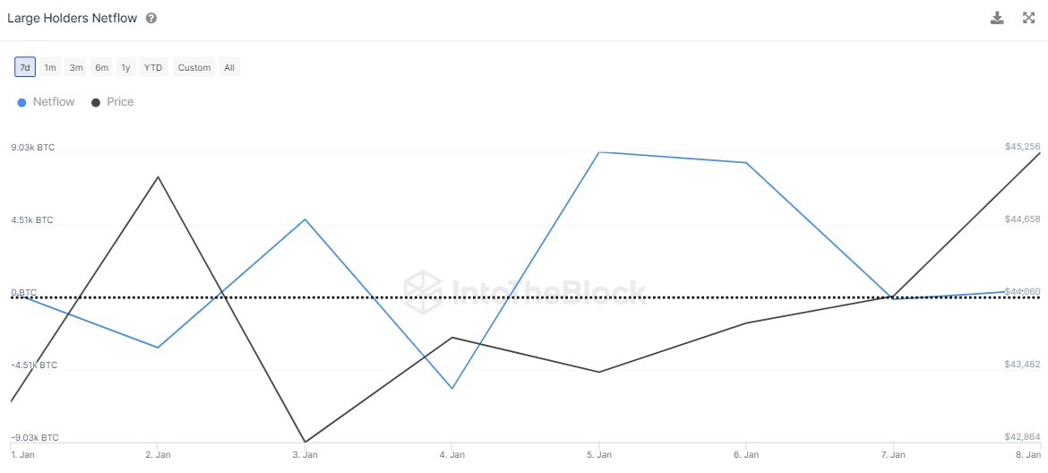 Netflow para grandes tenedores de Bitcoin
