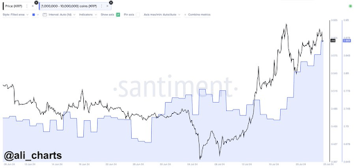 XRP1
