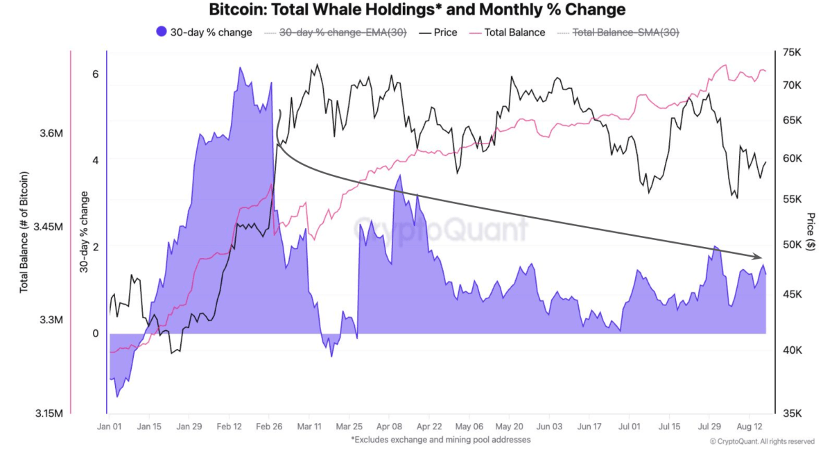 Métrica en cadena de Bitcoin.