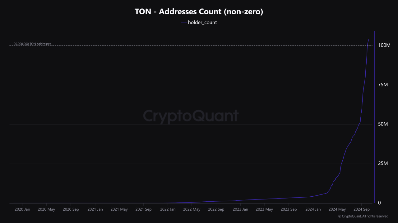 Recuento de direcciones de Toncoin