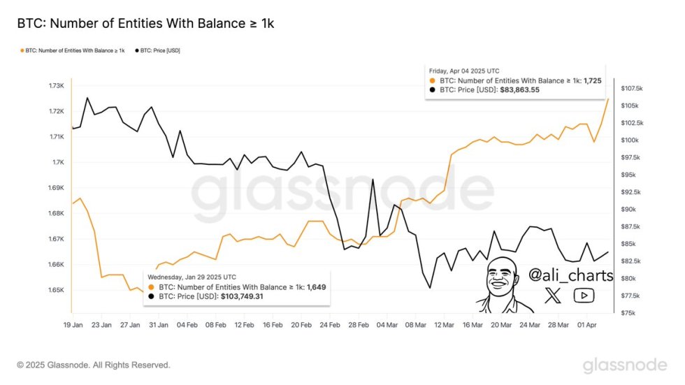Número de entidades de bitcoin con balance width=