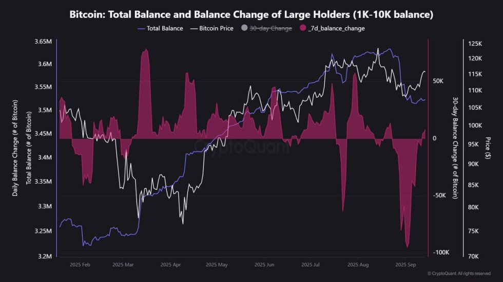 Balance total de Bitcoin y cambios en las tenencias de las ballenas | Fuente: Maartunn