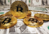 Lawton Plastic Surgery dice «Sí» a los criptopagos