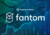 ¿Qué ha causado los altibajos de Fantom?
