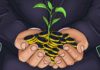 La Fundación Cardano completa la financiación para plantar 1 millón de árboles