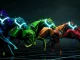 La primera carrera de caballos criptográficos del mundo: ¡está en vivo!