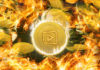 STREAM COIN Burn: aquí está todo lo que necesita saber