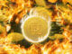 STREAM COIN Burn: aquí está todo lo que necesita saber