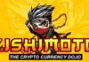 Kishimoto Inu está listo para revolucionar los tokens no fungibles con su mercado 3D NFT