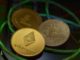 Exejecutivo de Goldman sobre lo que Google Trends nos dice sobre BTC, ETH, DeFi y NFT