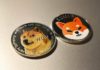 La Universidad de Quincy comienza a aceptar donaciones de Dogecoin ($DOGE) y Shiba Inu ($SHIB)