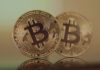 Supuestamente, Bitcoin se está convirtiendo en un elemento básico de la cartera