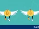 ¿El precio de Bitcoin y Ethereum se dirige hacia un verano alcista o una trampa alcista antes de un volcado del 30%?