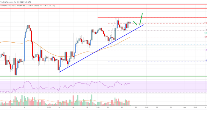 Análisis de precios de Bitcoin: BTC Eyes Rally por encima de $ 43K
