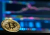 Analista predice Bitcoin en el último ciclo con el precio de BTC cruzando $ 42k