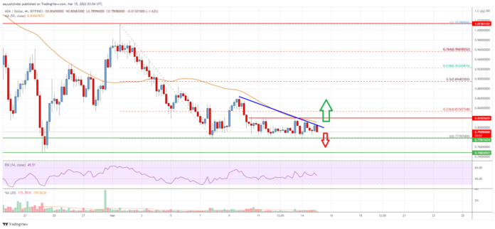 Cardano-Price-1.png