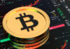 Comerciante veterano aconseja a ‘Gen Zs’ que reserven ahorros en Bitcoin y se mantengan