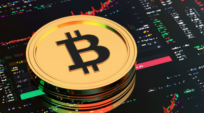 Comerciante veterano aconseja a ‘Gen Zs’ que reserven ahorros en Bitcoin y se mantengan