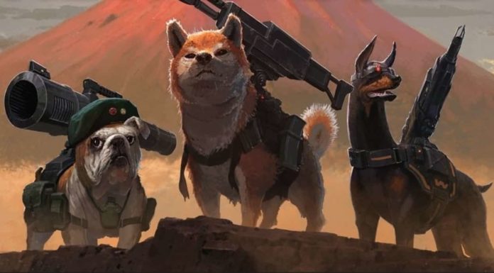 Shiba Inu inicia el proyecto Metaverse; SHIB repunta un 14% en los últimos 7 días