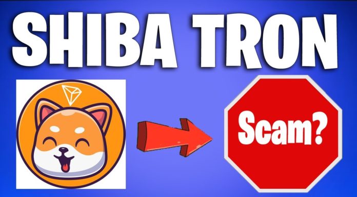 Shiba Tron, el ‘asesino’ de Shiba Inu y Floki Inu que se disparó 1,000%, es una estafa potencial