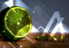Limewire lanzará su nuevo mercado NFT en Algorand Blockchain