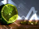 Limewire lanzará su nuevo mercado NFT en Algorand Blockchain