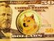 Las liquidaciones de vendedores en corto de Dogecoin superan los $ 20 millones a medida que los precios de $ DOGE suben