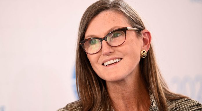 La CEO de Ark, Cathie Wood, es tan optimista como siempre, ve que Bitcoin alcanzará $ 1 millón para 2030