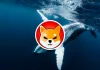SHIB vale la pena negociar a corto plazo, Shiba Inu ocupa la primera posición entre la acumulación de ballenas ETH
