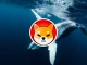 SHIB vale la pena negociar a corto plazo, Shiba Inu ocupa la primera posición entre la acumulación de ballenas ETH