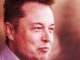 Los tweets de Dogecoin y Bitcoin de Elon Musk: una línea de tiempo de Crypto Twitter