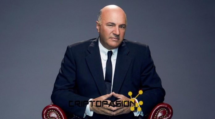 Kevin O’Leary revela su portafolio de criptomonedas kevin-o-leary