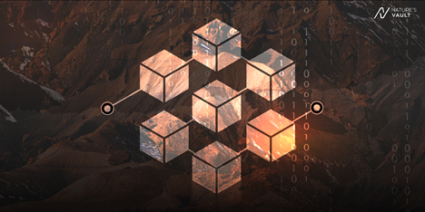 Cómo la tecnología Blockchain puede desempeñar un papel en la preservación del capital natural