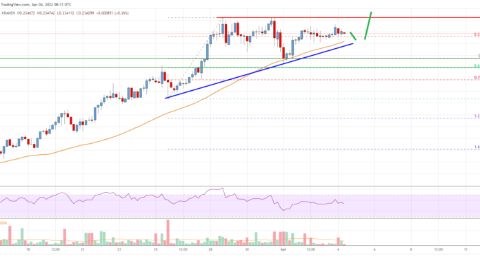 El precio de Stellar Lumen (XLM) apunta a más ventajas por encima de $ 0.24
