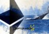 Las dos ballenas de Ethereum más grandes están comprando estas dos criptomonedas ethereum