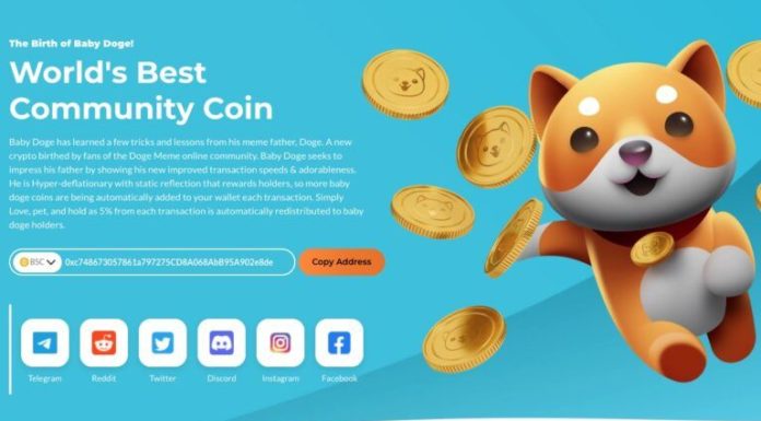 El equipo de $BABYDOGE está donando $400,000 a organizaciones de rescate de perros gracias a la colección NFT ‘Baby Doge Army’