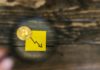 Bitcoin se derrumba por la mayoría en casi un mes: ¿sus días dorados han terminado?
