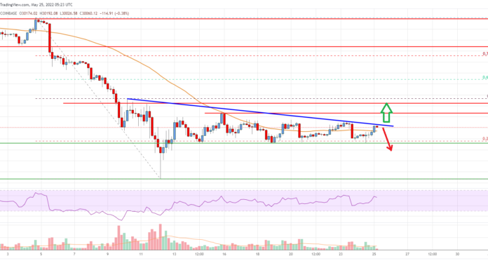 Análisis de precios de Bitcoin: recuperación de BTC Eyes por encima de $ 31K