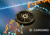 Cardano TVL pierde $ 205 millones desde que alcanzó el máximo histórico
