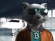 Creación de una plataforma de autodesarrollo entre muchas otras utilidades: Trash Panda Gang se enfoca en ayudar a su comunidad