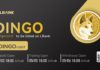 LBank Exchange listará Dingocoin (DINGO) el 5 de mayo de 2022