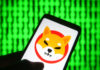 Shiba Inu vs. Dogecoin y LUNA: ¿Cuál sobrevivirá a la carnicería criptográfica?