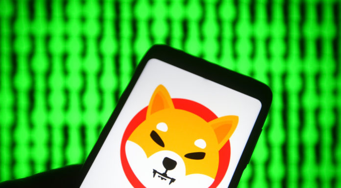 Shiba Inu vs. Dogecoin y LUNA: ¿Cuál sobrevivirá a la carnicería criptográfica?