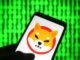 Shiba Inu vs. Dogecoin y LUNA: ¿Cuál sobrevivirá a la carnicería criptográfica?
