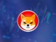 Shiba Inu (SHIB) es ahora el token más adquirido entre las ballenas más grandes