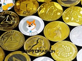 »Estamos cerca del final del mercado bajista» Analista opina sobre las altcoins