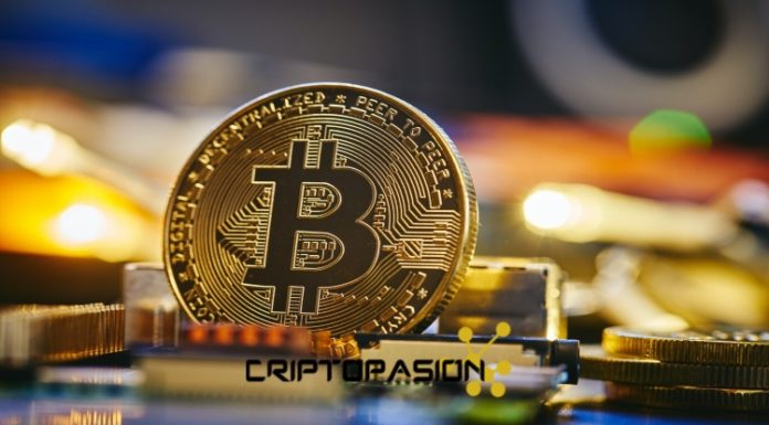 Criptoanalista describe el »peor escenario» para Bitcoin y Ethereum