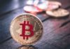 Dan Taipero dice que Bitcoin ($BTC) «no puede morir porque nunca morirá en todos los lugares al mismo tiempo»
